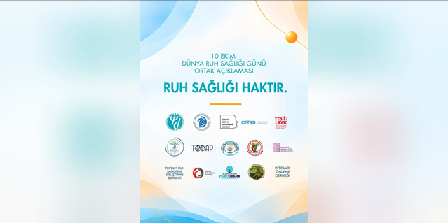 Psikiyatri Derneği, TTB, 'müstehcenlik' soruşturmasındaki erişim engeline karşı çıktı