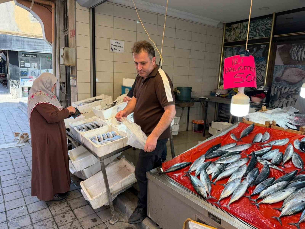 Sinop Türkeli\'de yerli balıkçıların avladığı palamut 50 TL\'den satışa sunuldu