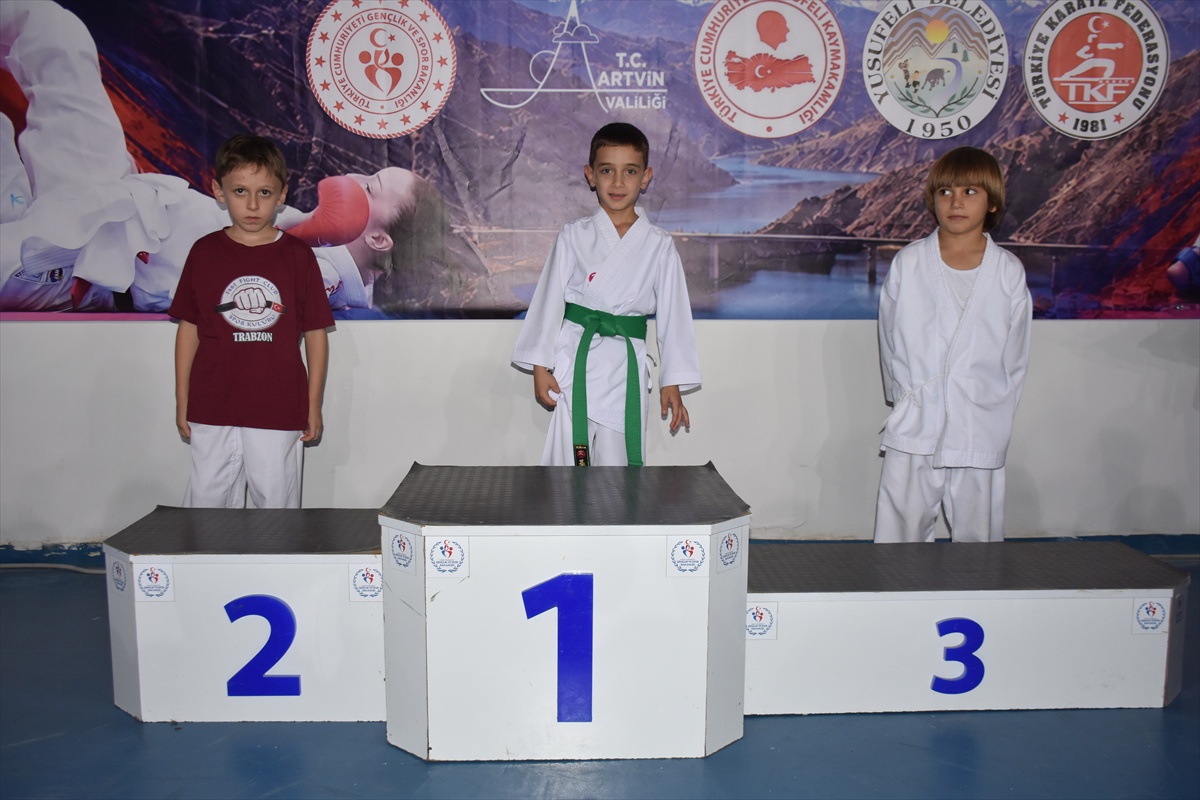 Yusufeli\'deki karate yıldızlar ligi 3. etabında 375 sporcu madalya için yarıştı