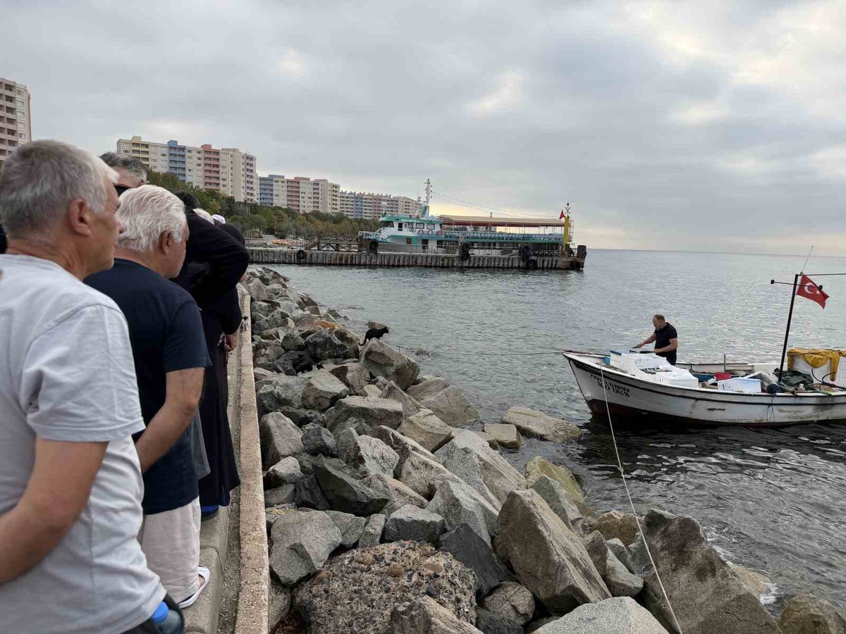 Yalova Armutlu\'da kayıkla taze balık servisi tatilcilere makul fiyatla ulaşıyor