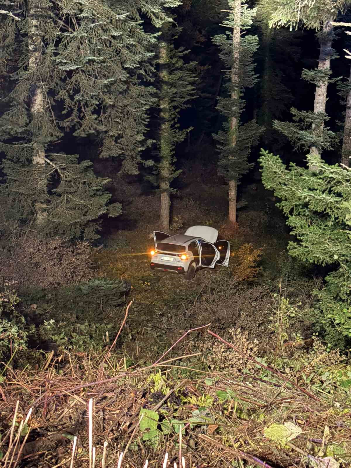 Bolu\'da otomobilin uçuruma yuvarlandığı kazada 4 kişi yaralandı