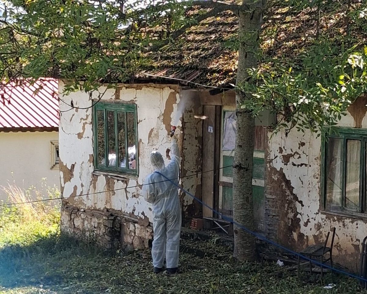 Düzce Kaynaşlı\'da kahverengi kokarca için kışlak ilaçlamasını muhtarlık yürüttü