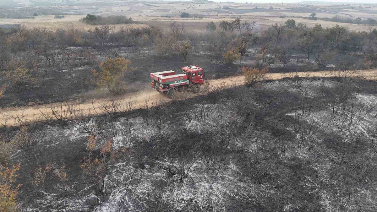 Edirne Lalapaşa\'da yangın, ekipler ve köylülerin traktörleriyle büyümeden söndürüldü