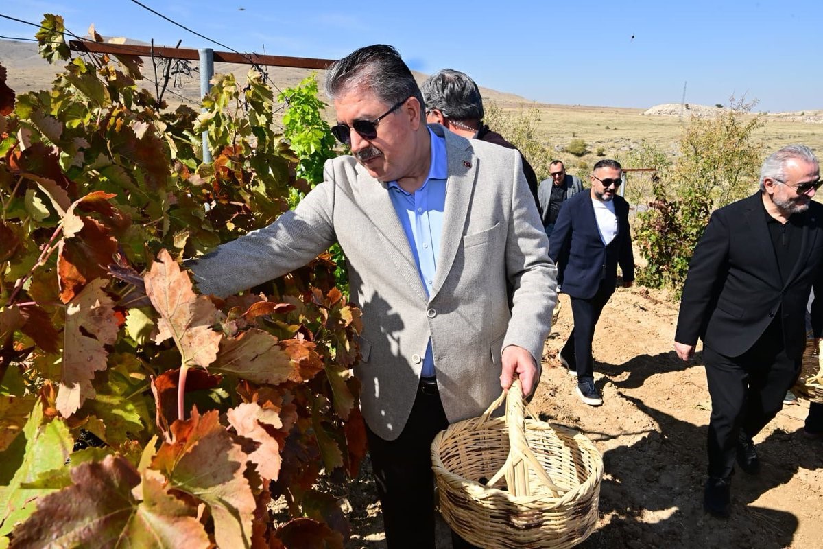 Eskişehir\'de Vali Yılmaz ve Destici, 820 yıllık Selçuklu köyünde bağ bozumu yaptı