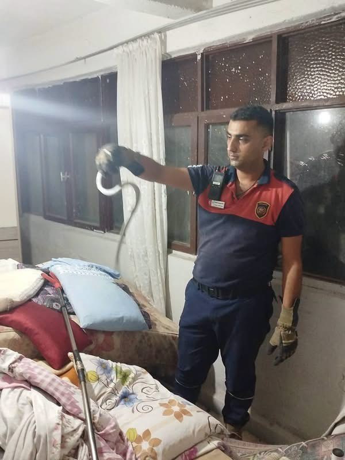 İhbar üzerine harekete geçen itfaiye, Dörtyol ve Belen\'de yılanları doğaya bıraktı