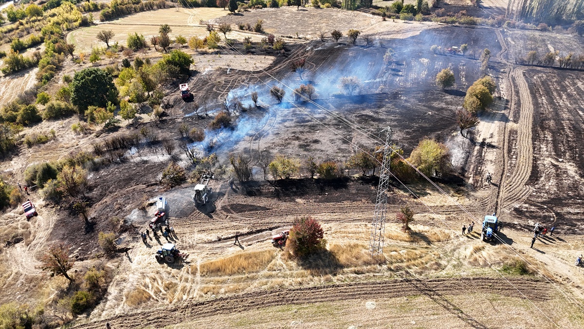 Kütahya Domaniç\'te bahçelik alandaki yangın söndürüldü, 7 hektar alan zarar gördü