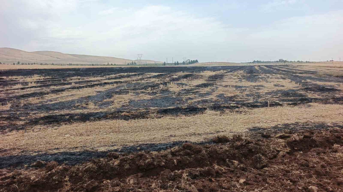 Siirt Kurtalan\'da anız ateşi büyümeden söndürüldü, yakana para cezası kesildi