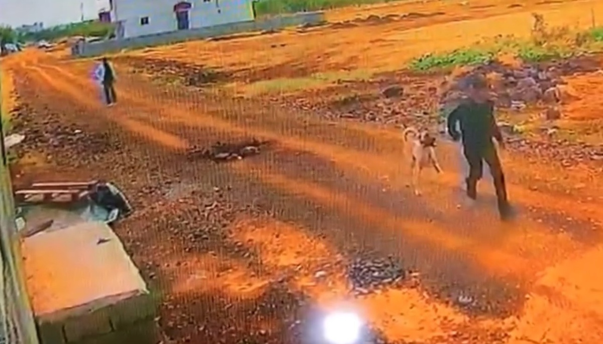 Siverek\'te Kangal cinsi köpek, güvenlik kamerasında iki kişi tarafından çalındı