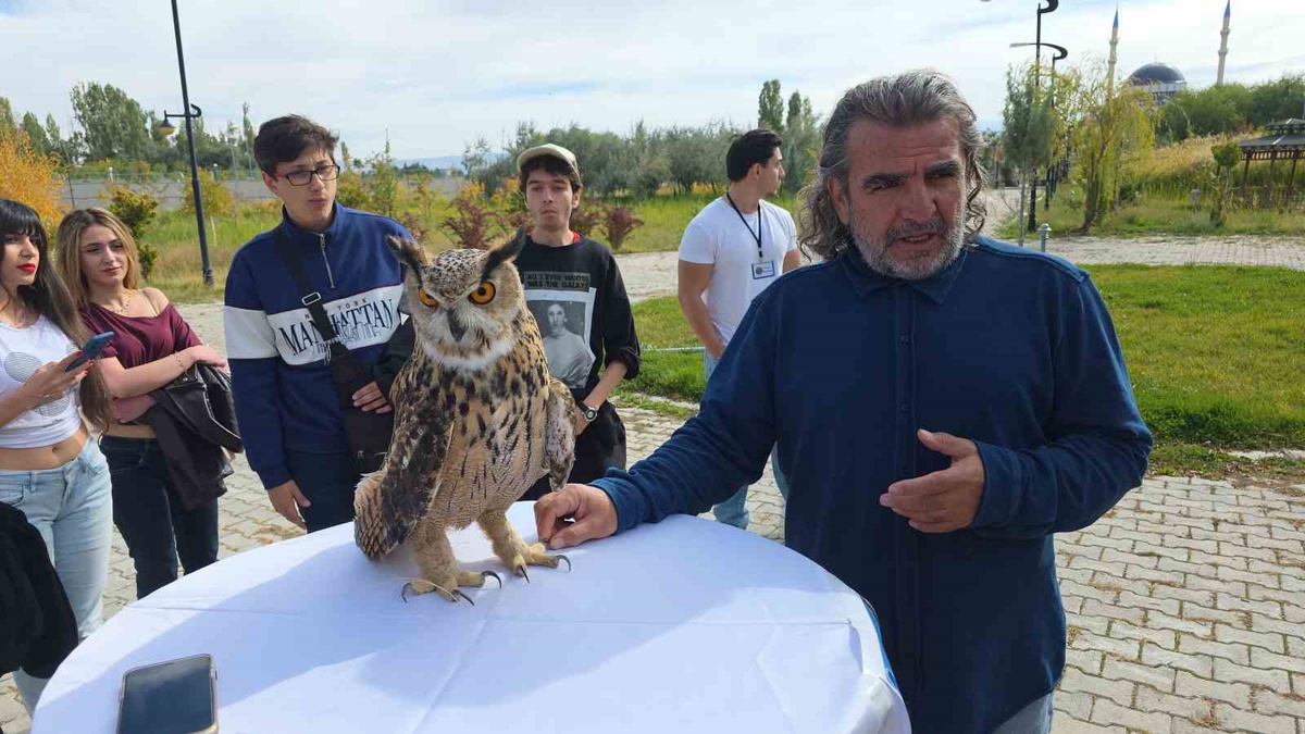 Van YYÜ\'nün Göçmen Kuşlar Günü etkinliğinde tedavisi biten şahin doğaya bırakıldı
