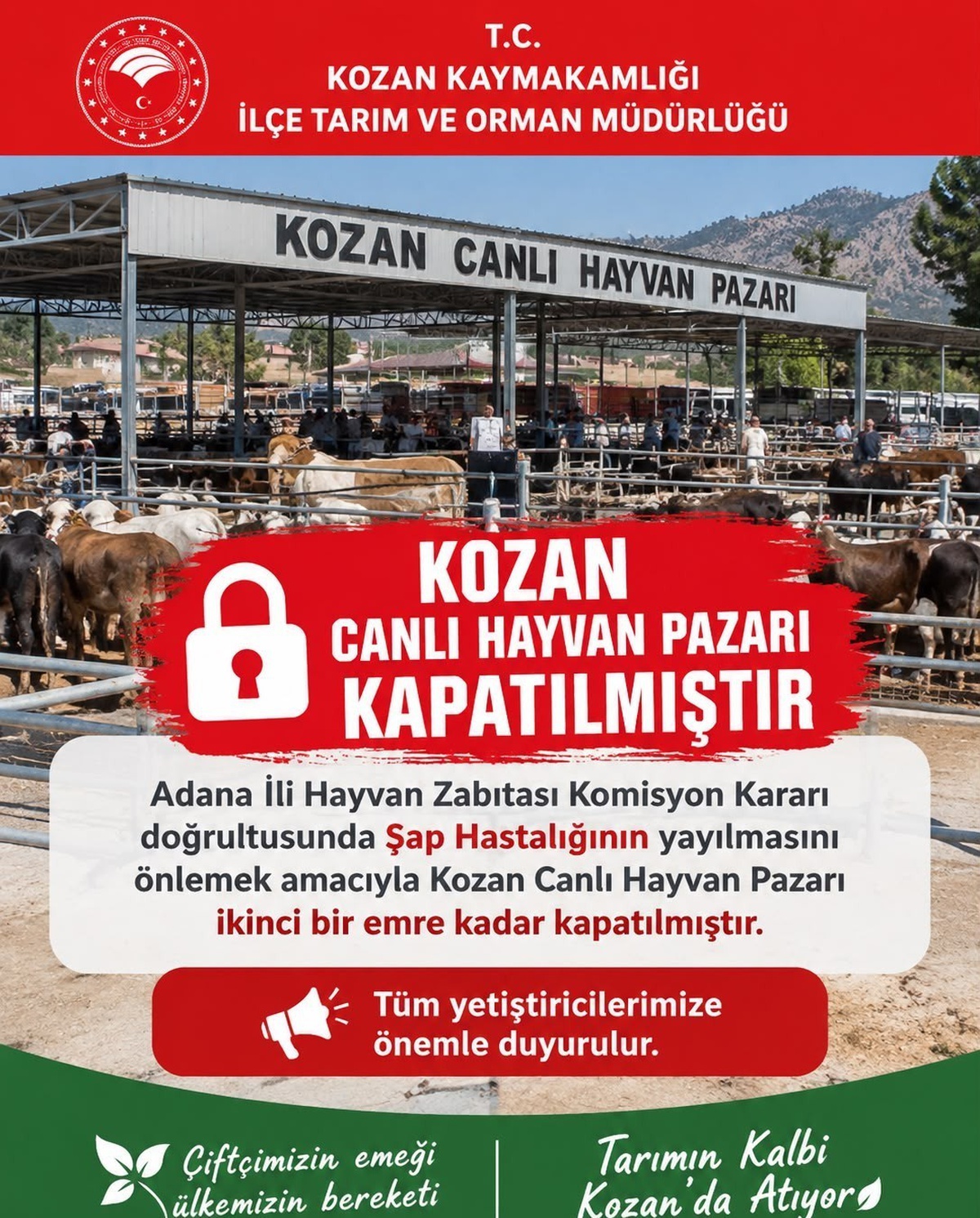 Kozan\'daki canlı hayvan pazarı şap tedbiri kapsamında kapatıldı