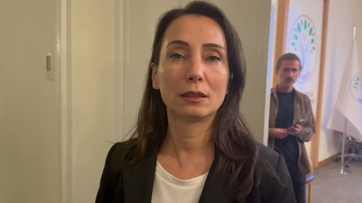 AKPM Başkanı Petra Bayr, DEM Parti ile AİHM kararlarını ve Öcalan\'ın rolünü görüştü