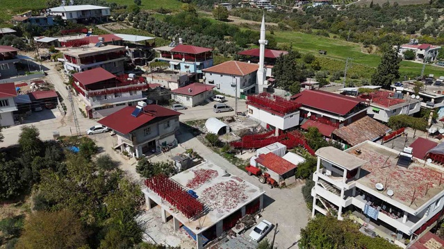 Hatay Altınözü'nde kurutmalık biberin demeti 800 ila bin TL arasında alıcı buluyor