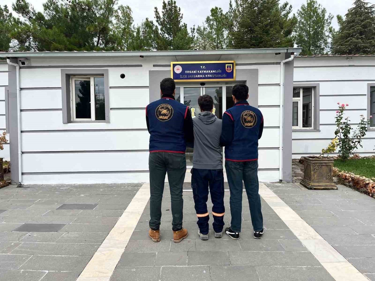 Diyarbakır\'da jandarma operasyonunda 105 kişi yakalanıp adli makamlara sevk edildi