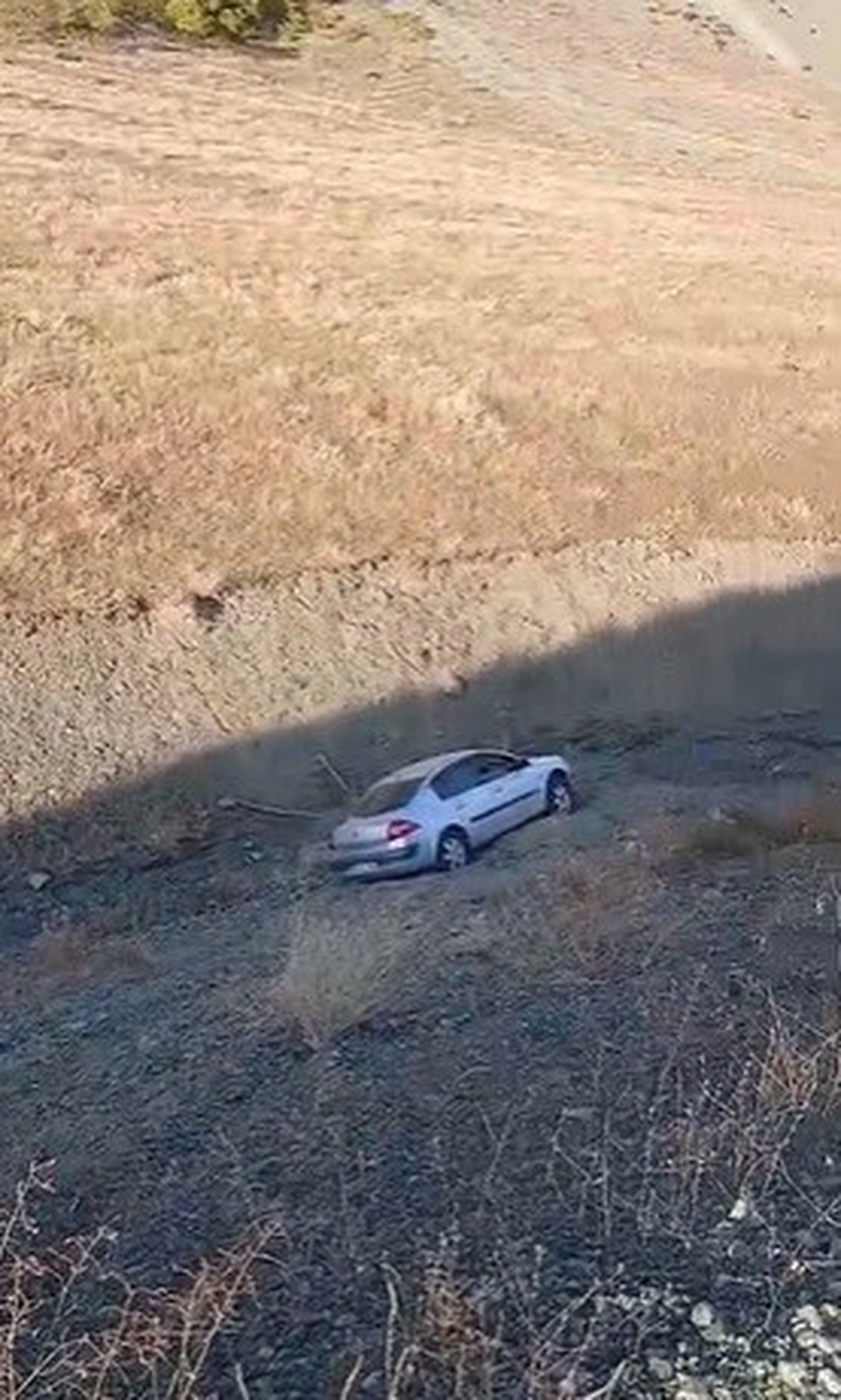 Elazığ Palu\'da sürücü sumak toplarken otomobil dereye düştü, maddi hasar oluştu