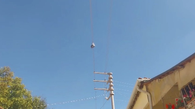 Eskişehir Tepebaşı'nda telde asılı çift bot mahalle sakinlerini tedirgin ediyor