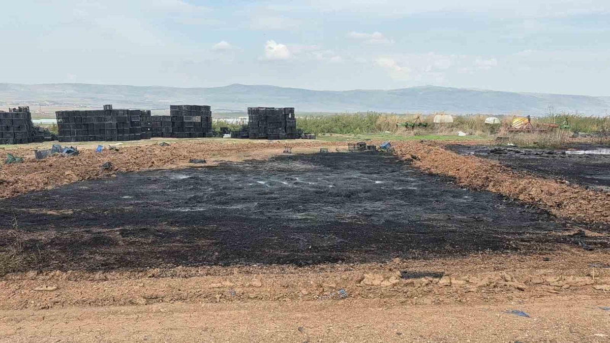 Eskişehir Tepebaşı\'nda depolanan binlerce plastik kasa alevlere teslim oldu
