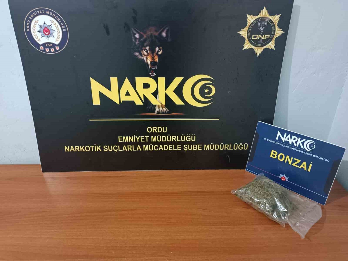 Fatsa\'da otomobilde yakalanan şüpheli, 49,55 gram sentetik uyuşturucuyla tutuklandı