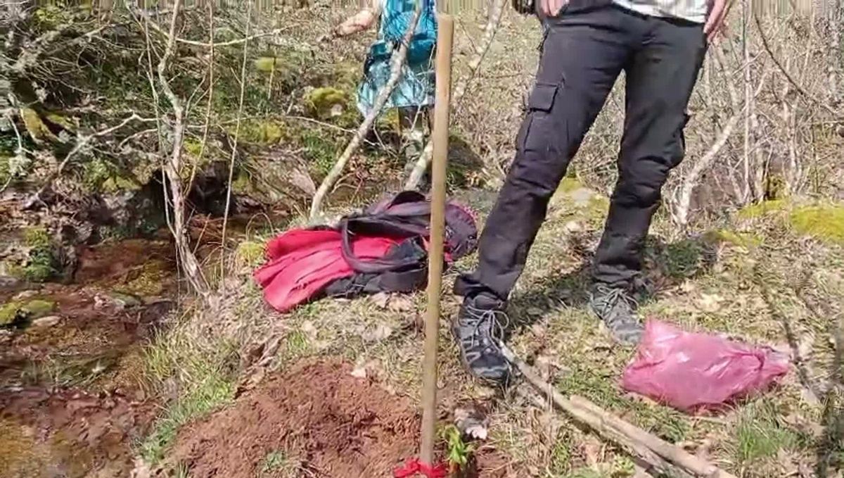 Kuruluşlar, Sabahattin Ali\'nin ölümü için Adalet Bakanlığına 3 talep iletti