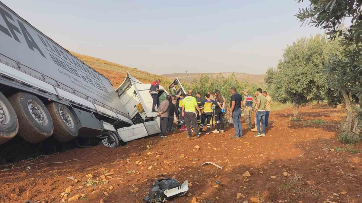 Hatay Reyhanlı Cilvegözü\'nde zeytin bahçesine devrilen tırın sürücüsü yaralandı