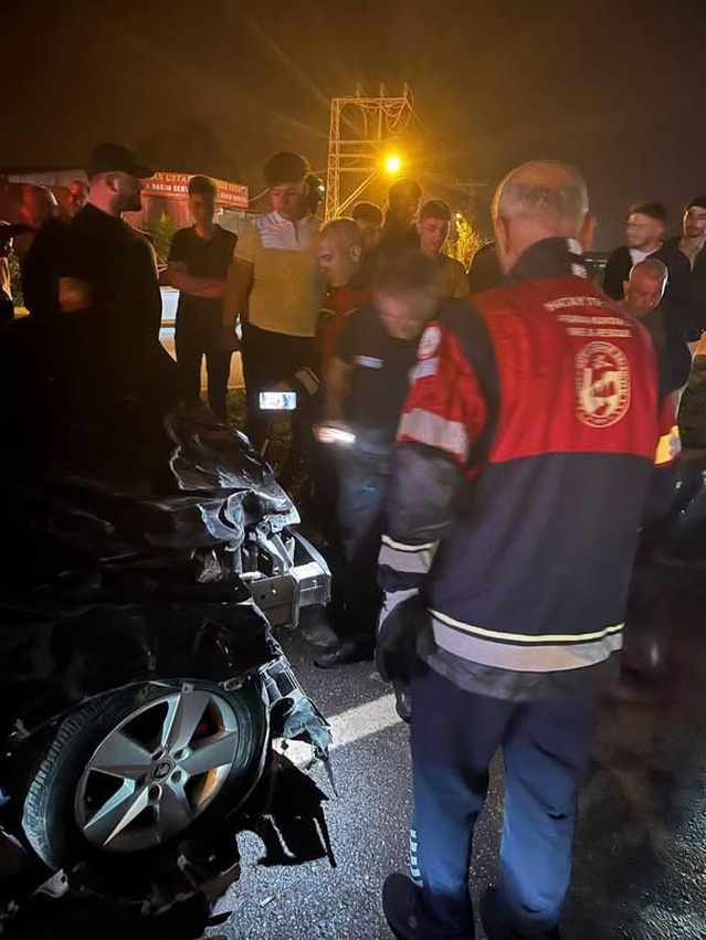Hatay Samandağ'da angusa çarpan otomobilin sürücüsü yaralandı, hayvanlar teslim edildi
