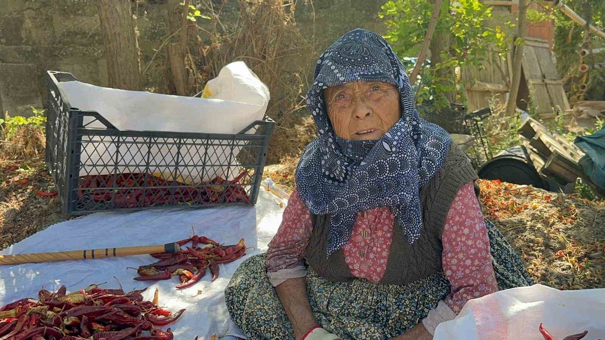 Karacabey\'de 90 yaşındaki anne, oğlunun pul biber üretimine destek oluyor