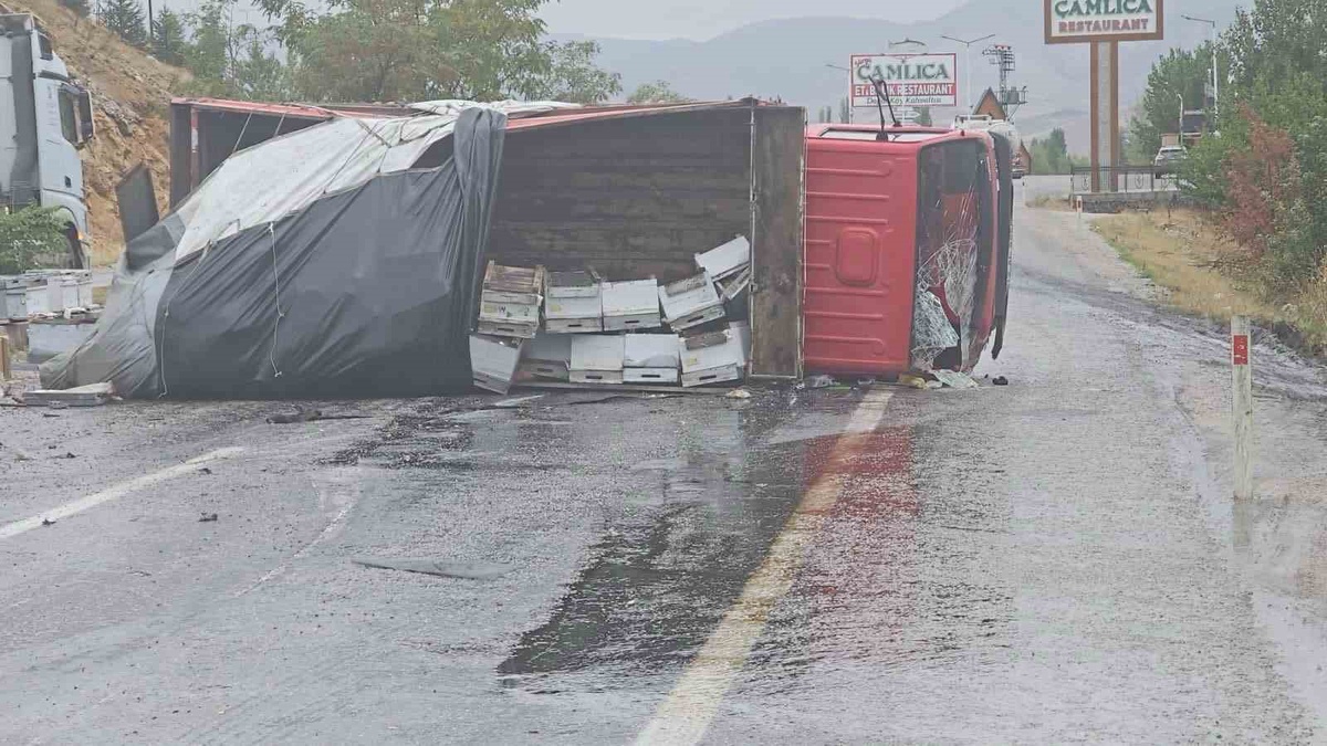 Malatya-Adıyaman yolunda arı yüklü kamyon devrildi, 2 kişi yaralandı