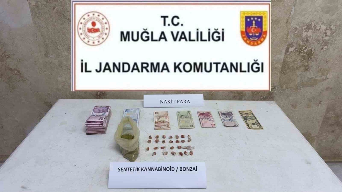 Muğla\'da jandarmanın 36 olayla ilgili çalışmasında 37 şüpheli yakalandı, 5 tutuklandı
