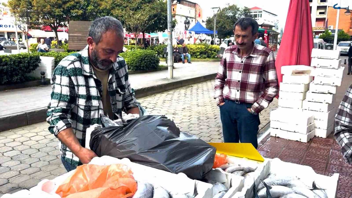 Rize Pazar\'da palamut bereketi tezgahlara indirim getirdi, 3 iri palamut 100 TL
