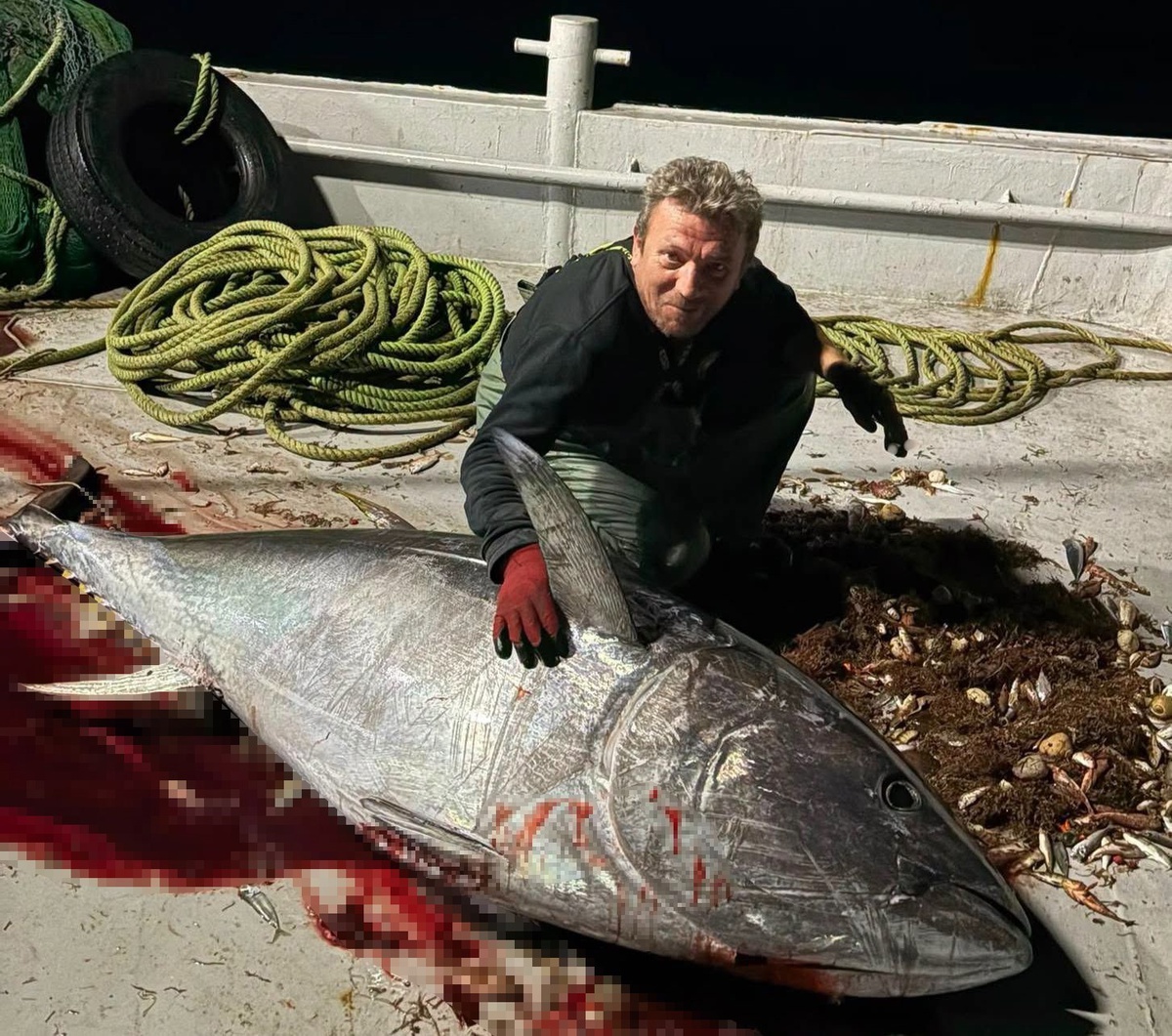 Enez\'den açılan balıkçılar Saros Körfezi\'nde 175 kiloluk orkinos yakaladı
