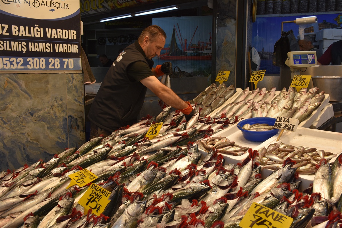 Trabzon\'da palamut bolluğu balıkçıları sevindirdi, 3 palamut 100 liradan satılıyor