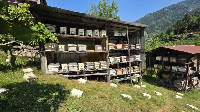 Artvin balının reçeteyle satılması önerildi, üretim 300 tona geriledi