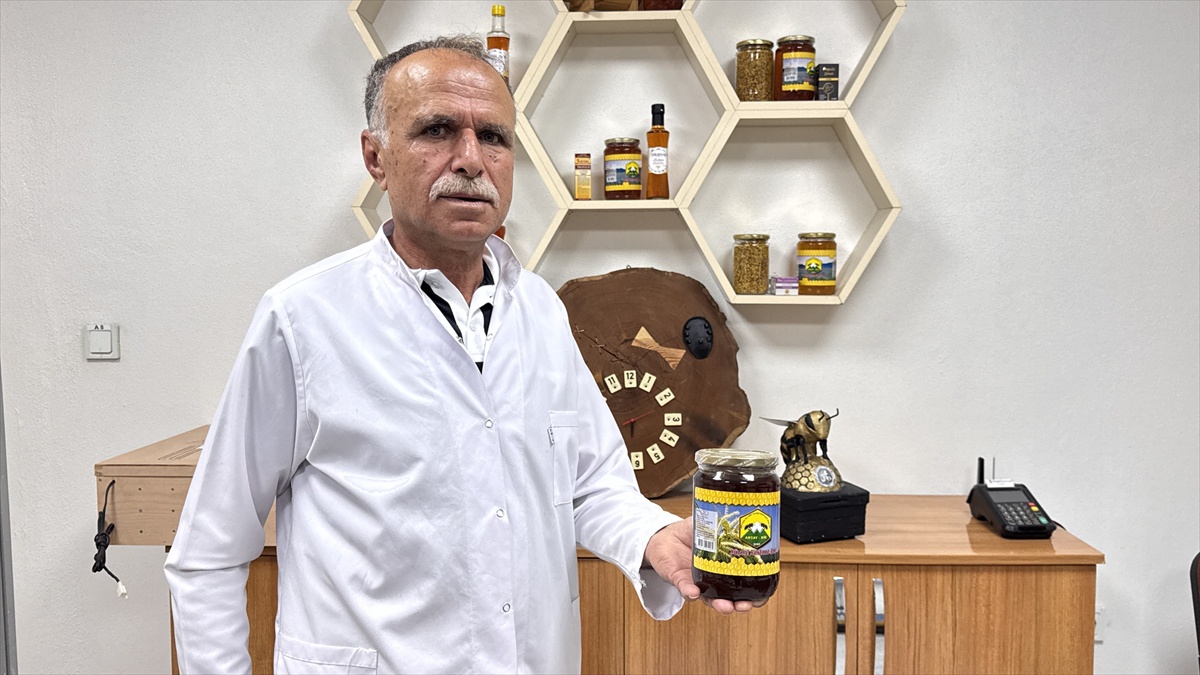 Artvin\'de arıcılar bekledikleri verimi alamadı, bal üretimi 700 tondan 300 tona düştü