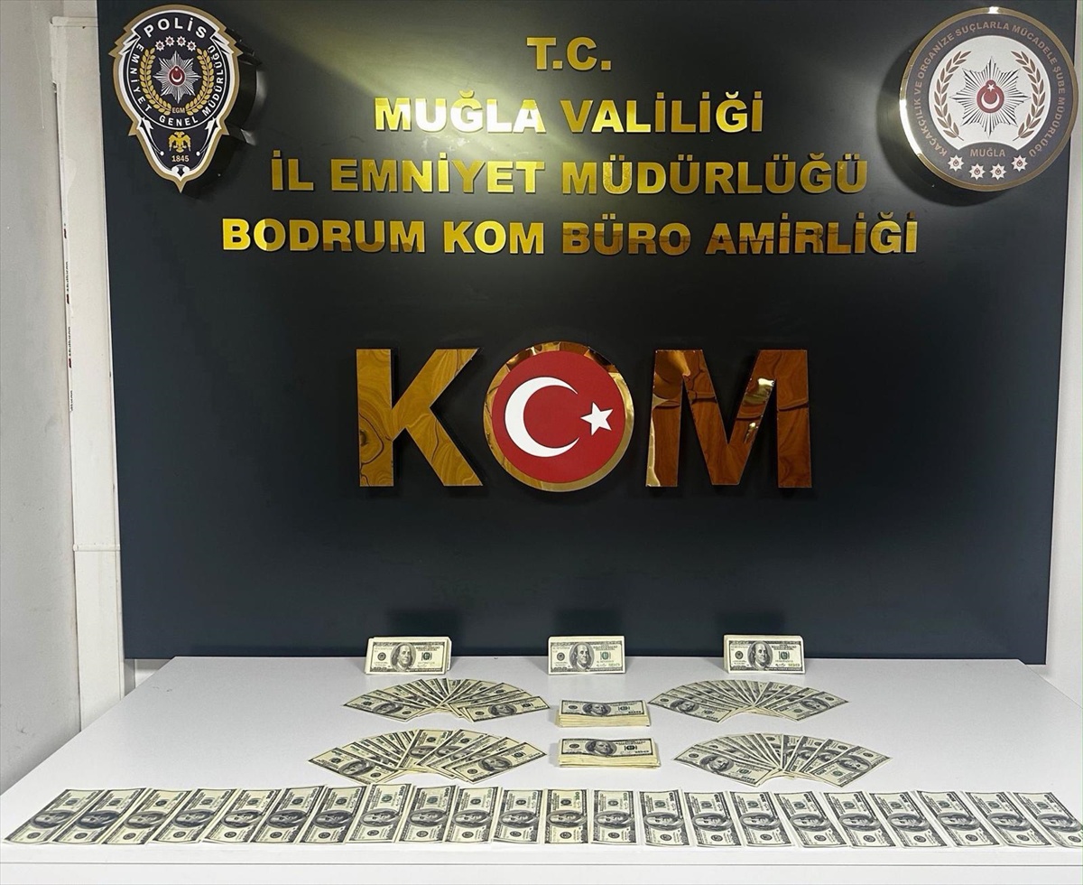 Bodrum\'da sahte dolar hazırlığındaki zanlı tutuklandı, 46 bin 200 dolar ele geçirildi