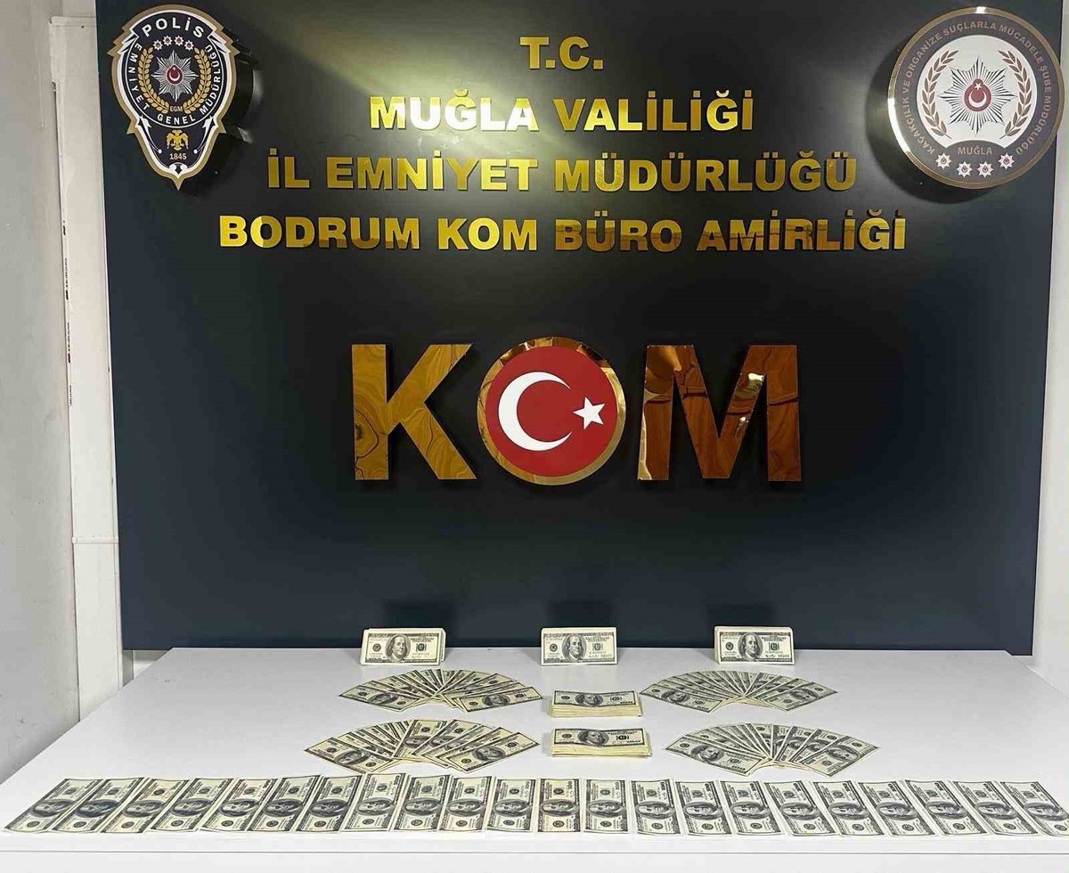 Bodrum\'da sahte dolar hazırlığındaki şüpheli tutuklandı, 46 bin 200 dolar ele geçirildi