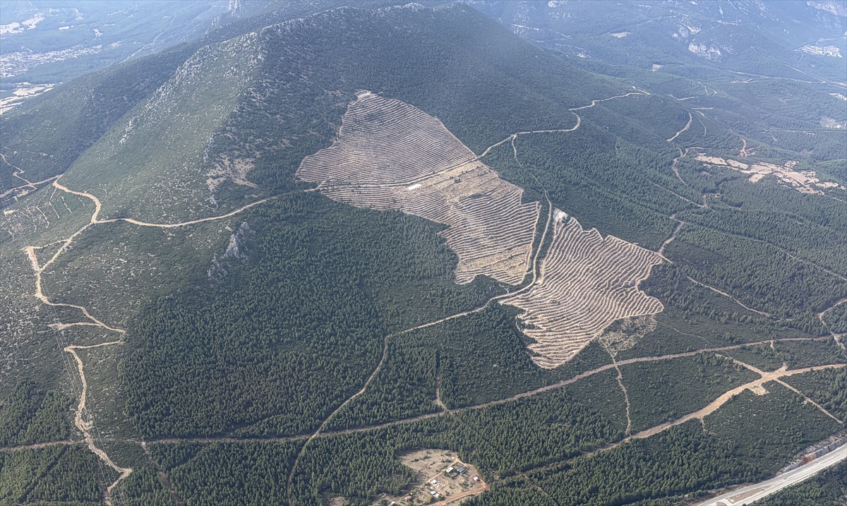 Denizli Orman Bölge Müdürü, yanan alanlara 4,5 milyon fidan dikileceğini açıkladı