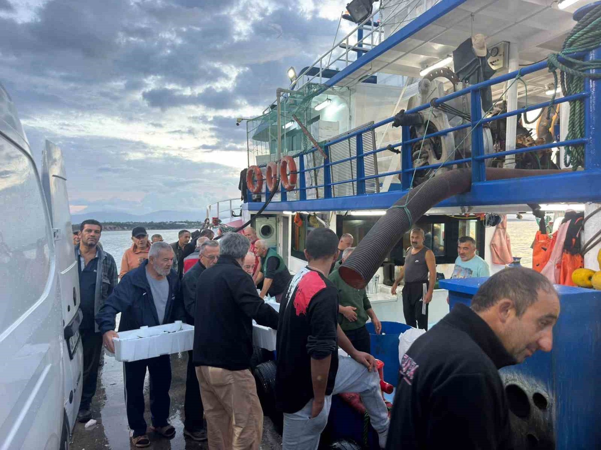 Aydın Didim\'de hamsi kotası denetiminde tekneler ve işletmeler kontrol edildi