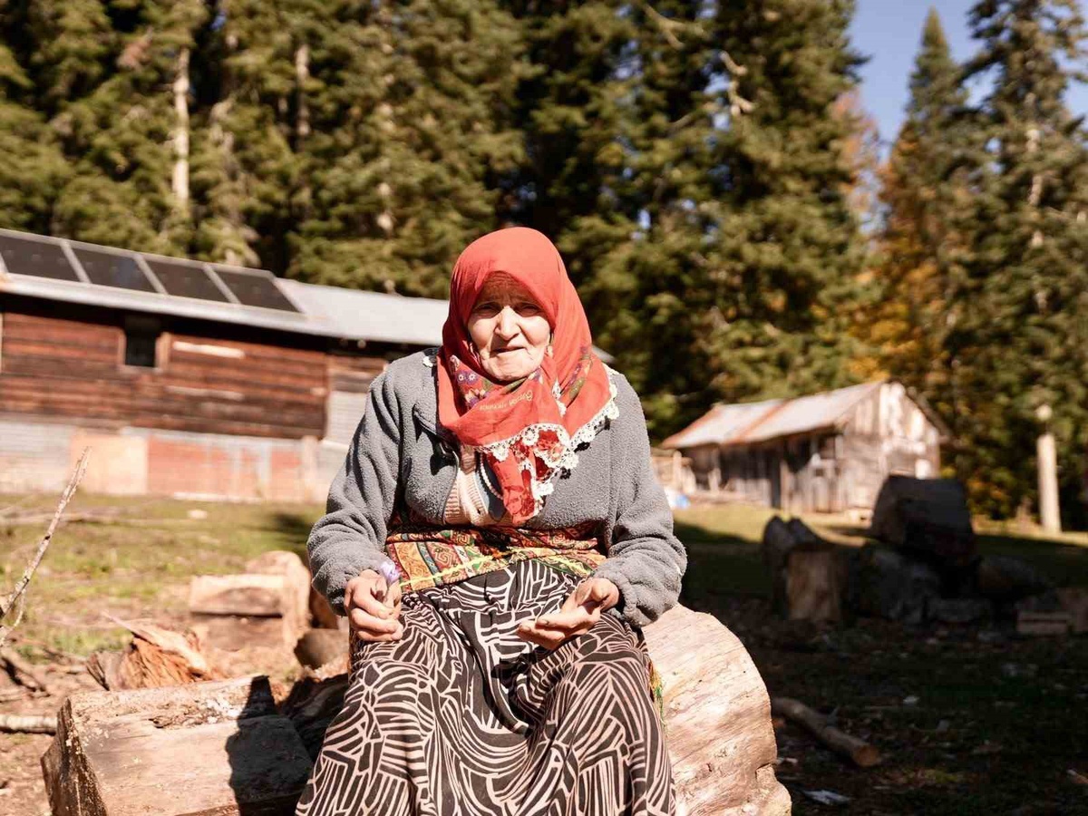 Düzce yaylalarında vargit çiçekleri açtı, yaylacılar köylerine dönüşe başladı