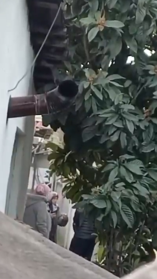 Esenyurt'ta torbacı neneler şoku! Polis kaydetti, çete yakalandı