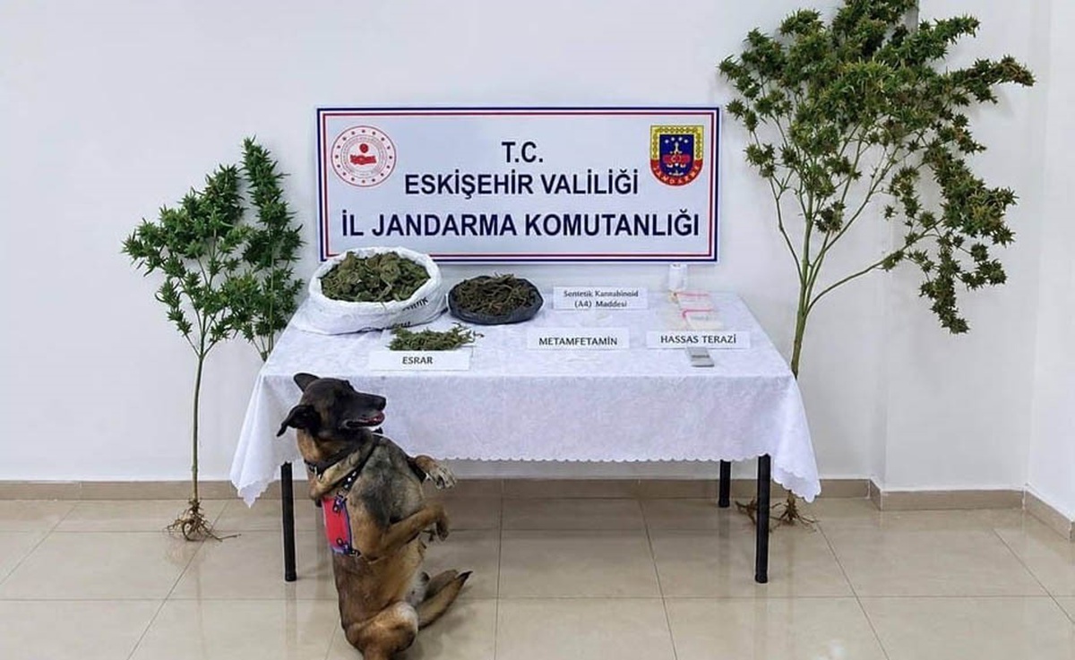 Eskişehir Tepebaşı\'nda operasyonda 1,5 kilo esrar ele geçirildi, 1 şüpheli tutuklandı
