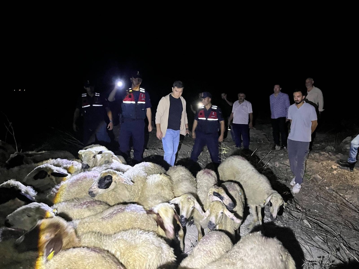 Jandarma dronu Kozan\'da kaybolan 45 koyunu 8 kilometre uzakta buldu
