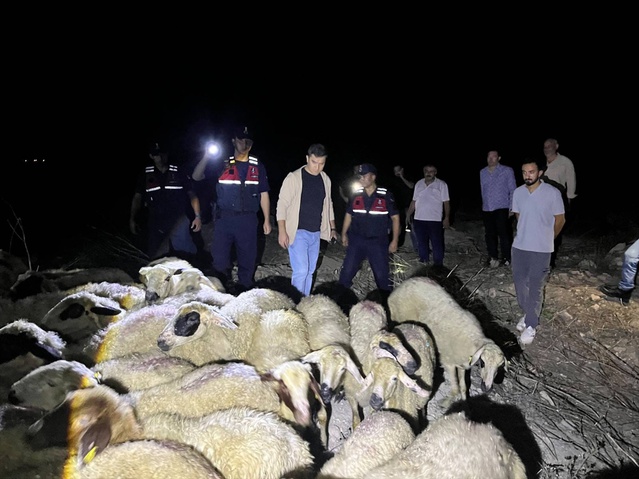 Jandarma dronu Kozan'da kaybolan 45 koyunu 8 kilometre uzakta buldu