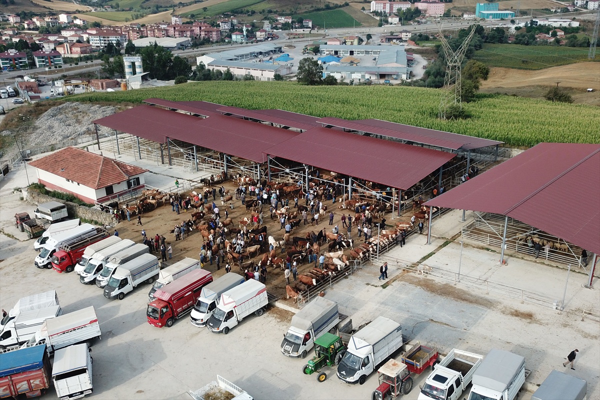 Şap hastalığı görülmesi üzerine Samsun Havza\'da canlı hayvan pazarı kapatıldı