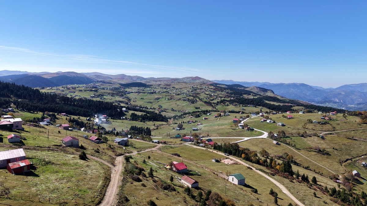 Trabzon Akçaabat\'ta yayla dönüşü başladı, hayvanlar süslenerek köylere indi