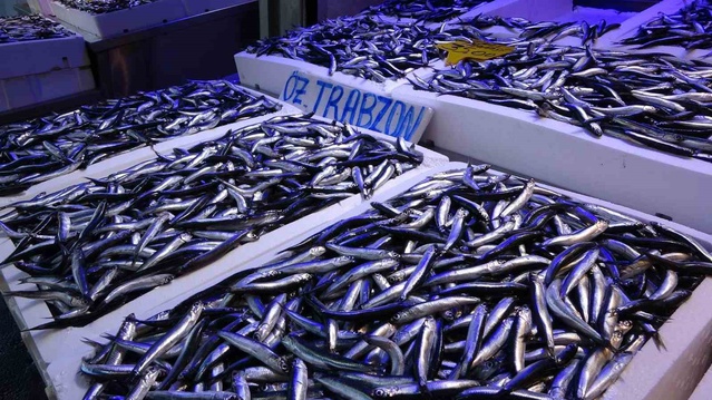 Trabzon'un hamsi ihracatı ilk 9 ayda 8 katı aştı, Türkiye'de yüzde 79,8 arttı