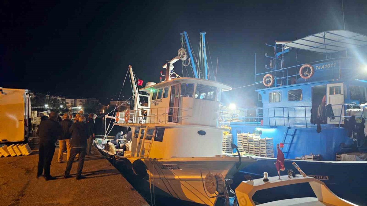 Amasra\'dan açılan balıkçılar Cide\'de 3 saatte 15 bin palamut avladı, 1500 kasa doldu