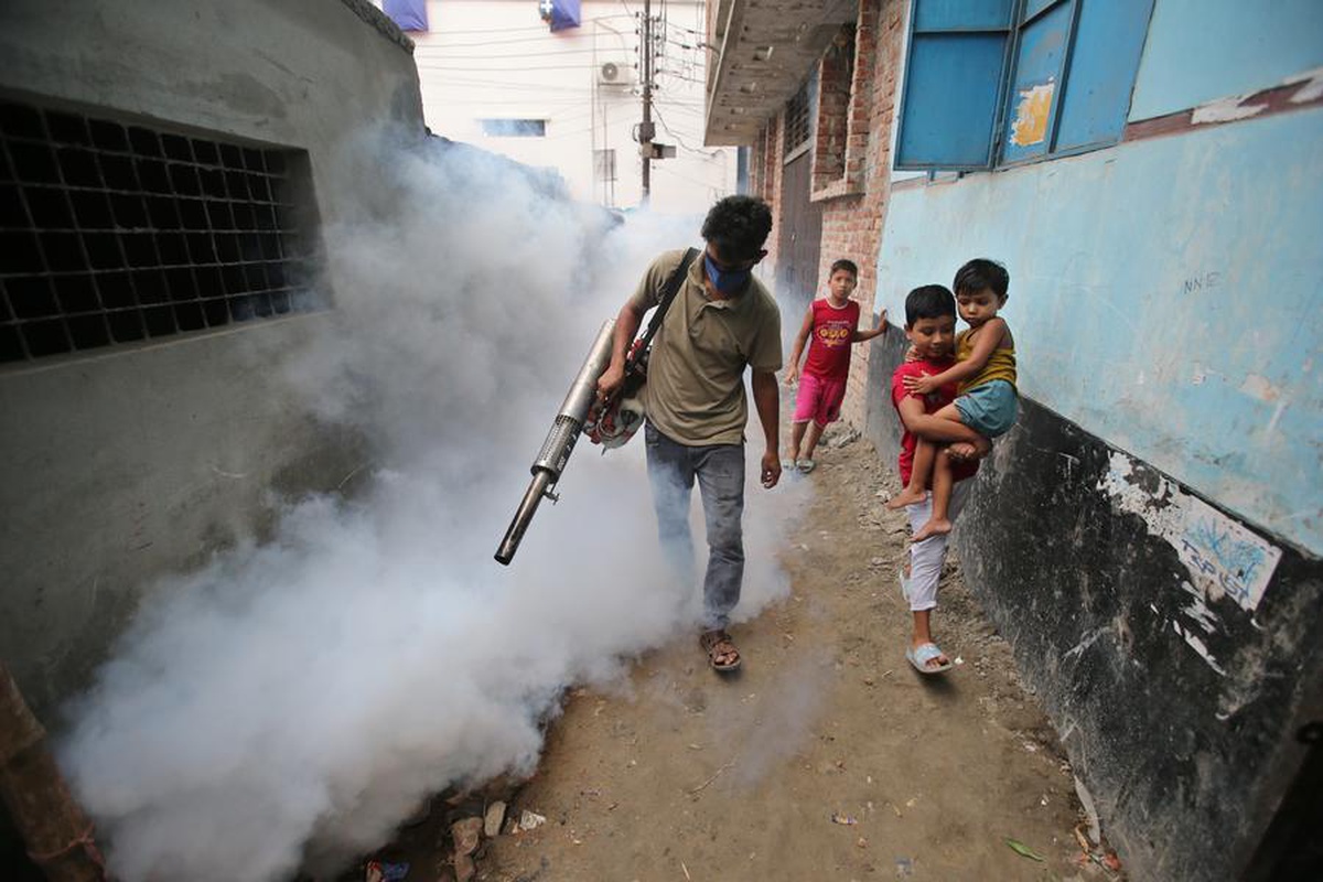 Bangladeş\'te 10 aydan kısa sürede 100 binden fazla dang humması vakası ve 316 ölüm var