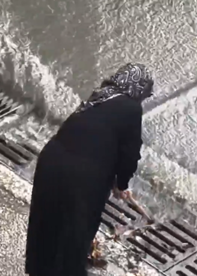 Belediye ekiplerini beklemeyen yaşlı kadın mazgalları bastonuyla temizledi