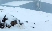 Sonbahar bitti, kış başladı! Kar 20 santimetreye ulaştı