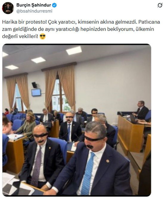 Burçin Şahindur'dan Yeni Partili vekillere olay sözler: Patlıcana zam geldiğinde de...