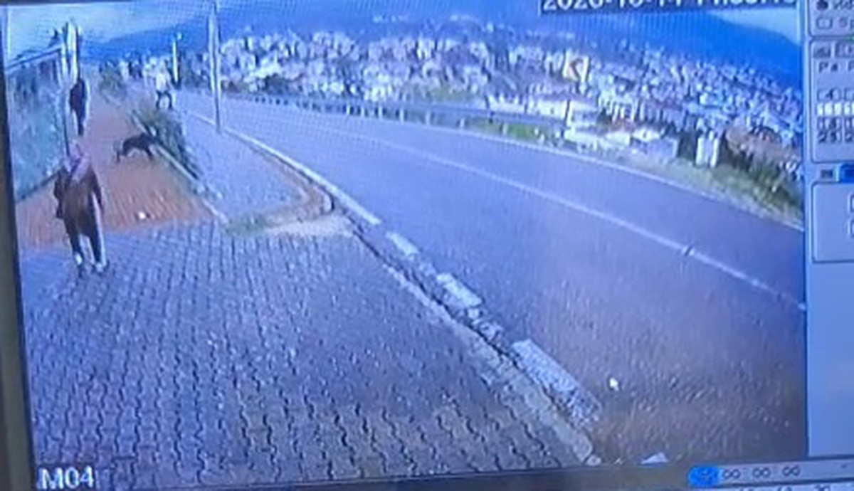 Bursa Orhangazi\'de köpek saldırısından kaçan çocuk 2 metreden atlayıp bacağını kırdı